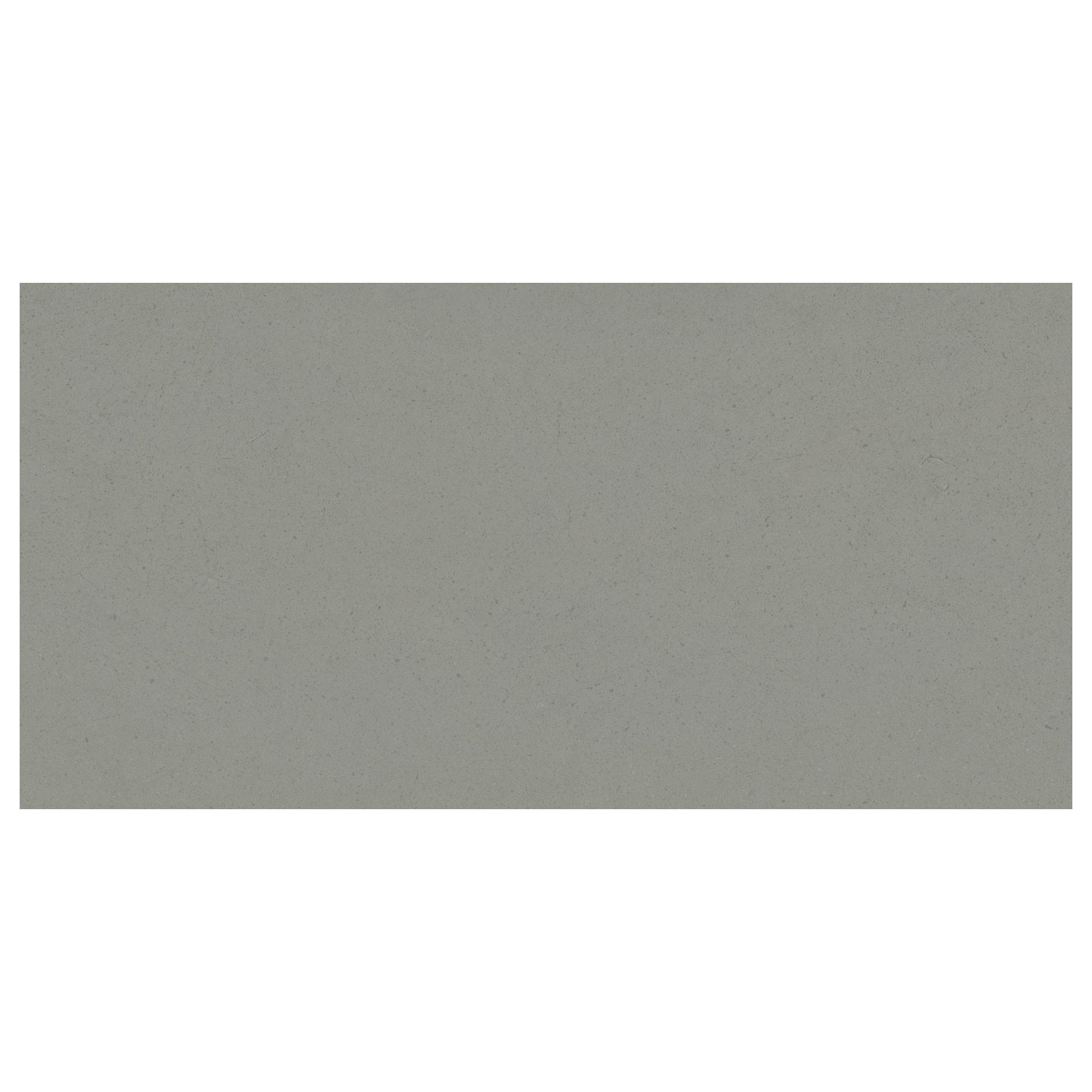 Giorbello Urban Fern Gray 24-in x 48-in Matte Porcelain Cement look Floor and Wall Tile product image