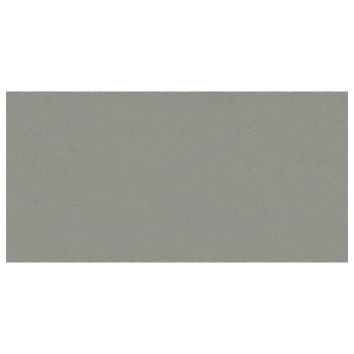 Giorbello Urban Fern Gray 24-in x 48-in Matte Porcelain Cement look Floor and Wall Tile product image