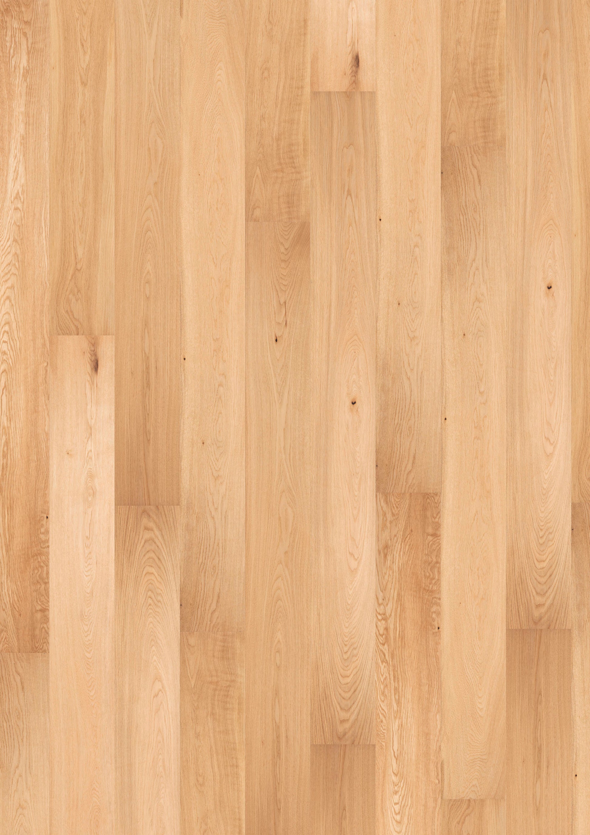 Solidfloor Oak Mineral Opal hardwood flooring — primary plank view