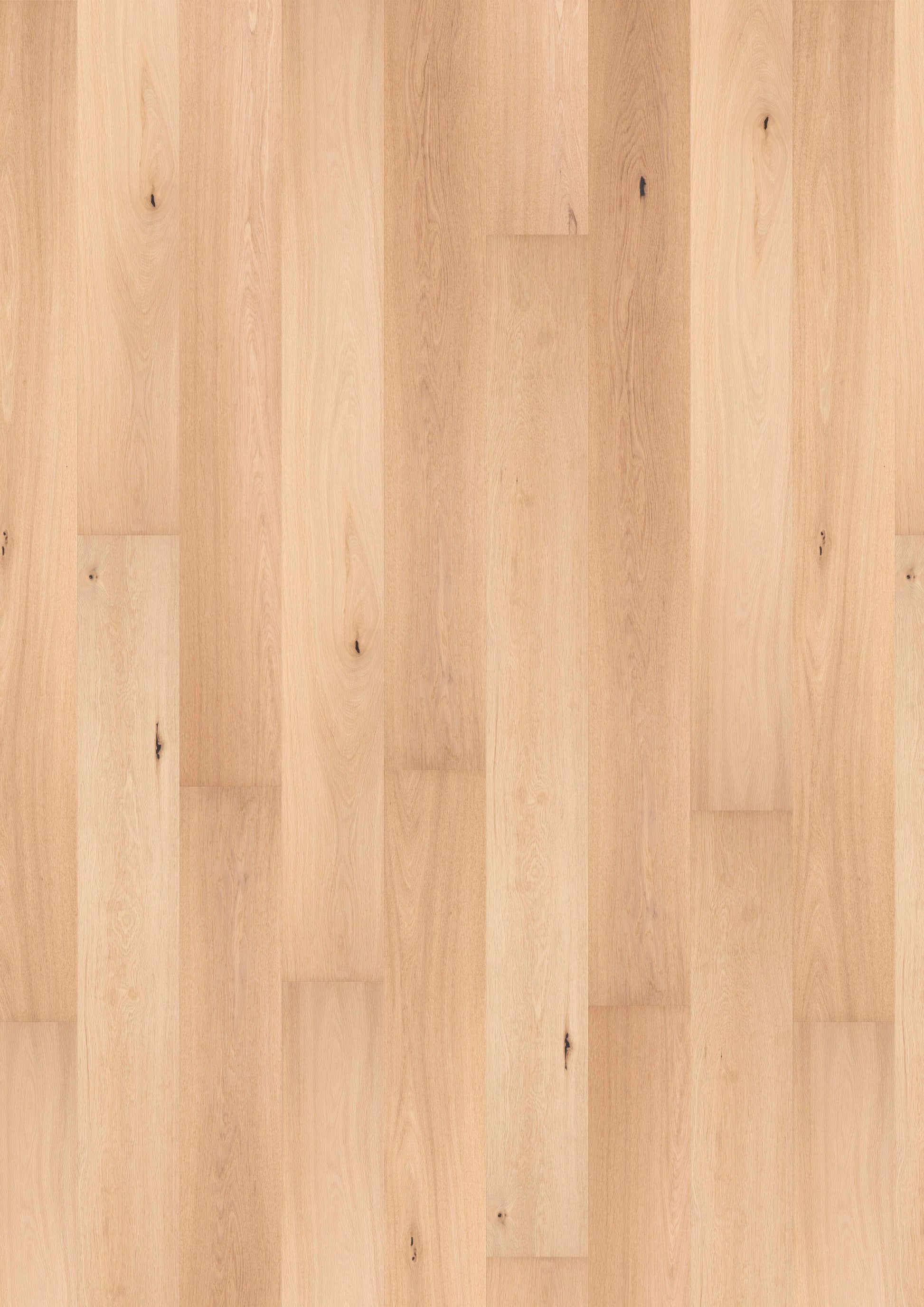 Solidfloor Oak Mineral Ruby hardwood flooring — primary plank view
