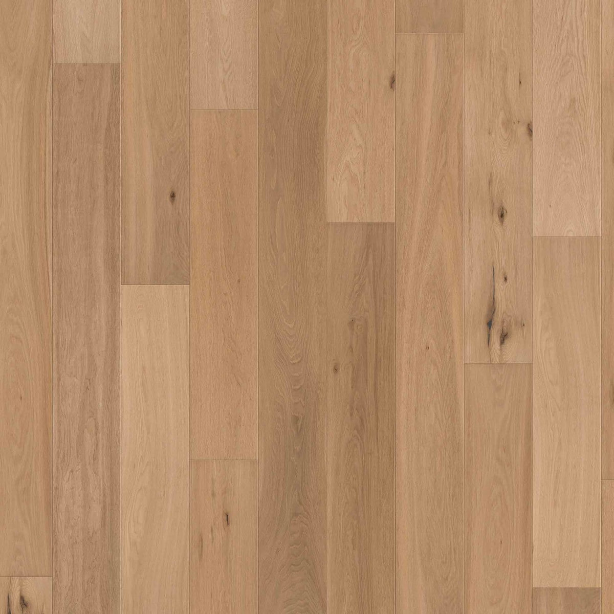 Solidfloor Oak Unfinished Look hardwood flooring — primary plank view