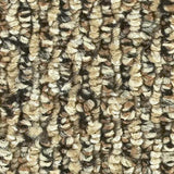 12-ft Berber/Loop Interior/Exterior Carpet - Super Arbor