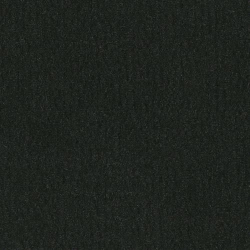 -Daytar Black Plush Carpet Sample (Interior/Exterior)