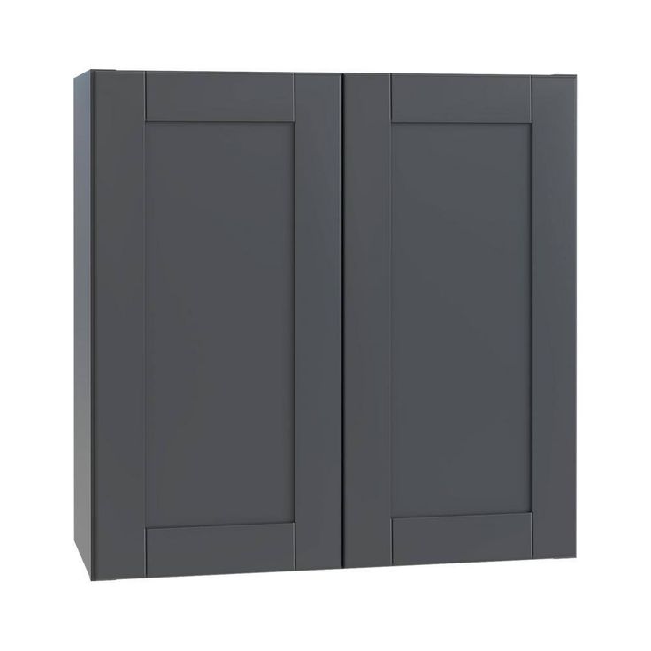 Home Decorators Collection Washington 24 in. W x 12 in. D x 42 in. H Assembled Plywood Wall Kitchen Cabinet in Valiant Onyx with Soft Close Doors