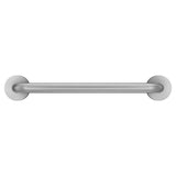 Moen Home Care 30-in Peened Wall Mount (ADA Compliant) Grab Bar