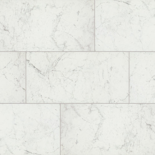 Daltile Core Classic Carrara Marble 12-in x 24-in Matte Porcelain Marble look Floor and Wall Tile product image