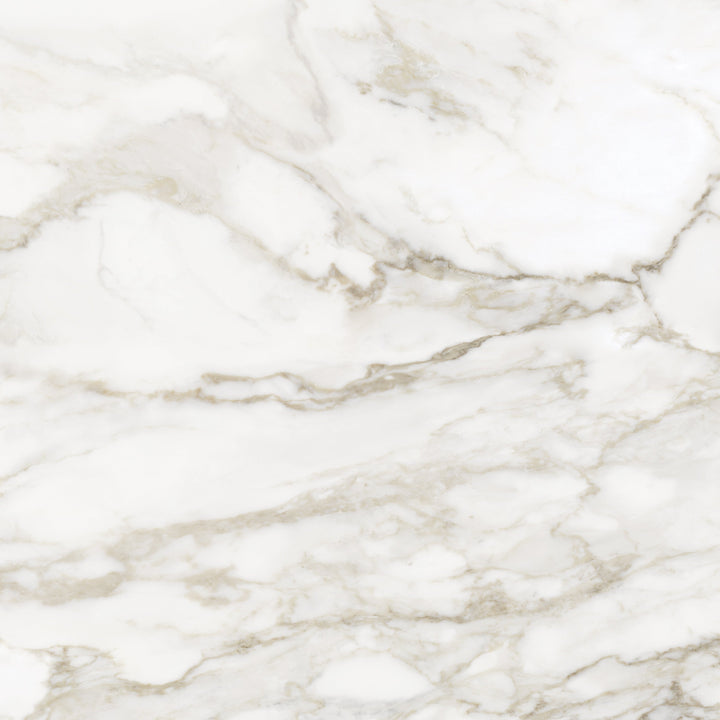Satori La Marca Calacatta Paonazzo 32-in x 32-in Honed Porcelain Marble look Floor and Wall Tile product image