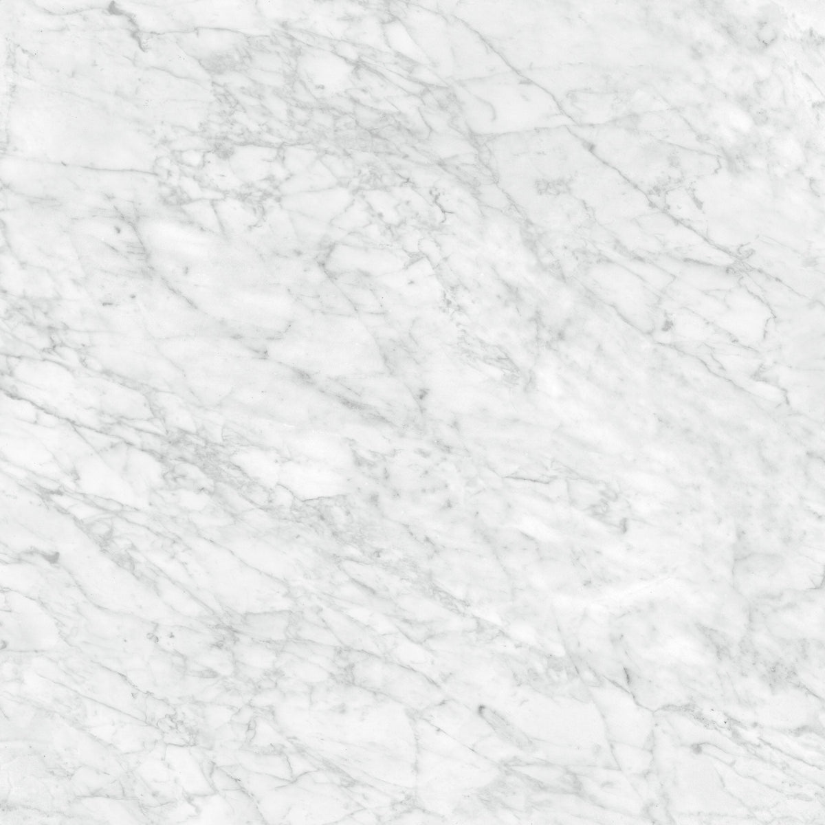 Satori La Marca Carrara Gioia 32-in x 32-in Honed Porcelain Marble look Floor and Wall Tile product image