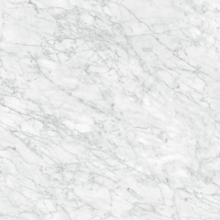 Satori La Marca Carrara Gioia 32-in x 32-in Honed Porcelain Marble look Floor and Wall Tile product image