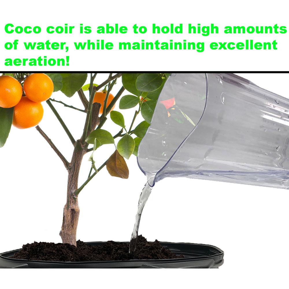 Viagrow 1.4 lbs. Premium Soilless Coconut Coir Brick Grow Media (3-Pack)