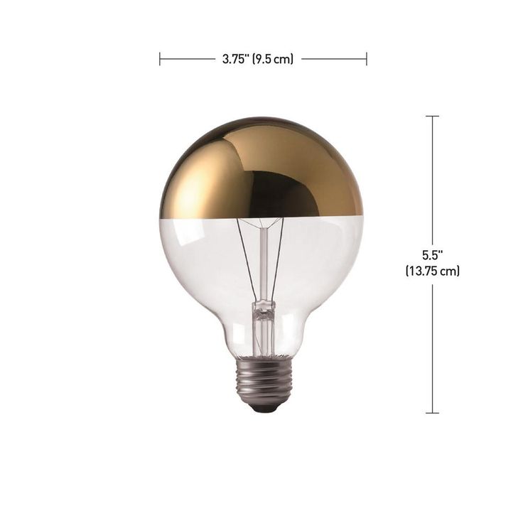 Globe Electric 40W Gold Designer Vintage Edison Oro Incandescent Light Bulb