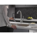Esque Single-Handle Pull-Down Sprayer Kitchen Faucet with ShieldSpray Technology in Arctic Stainless - Super Arbor