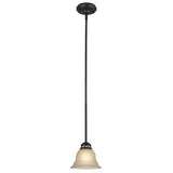Project Source Fallsbrook Brushed Nickel Traditional Etched Glass Bell Pendant Light - Super Arbor