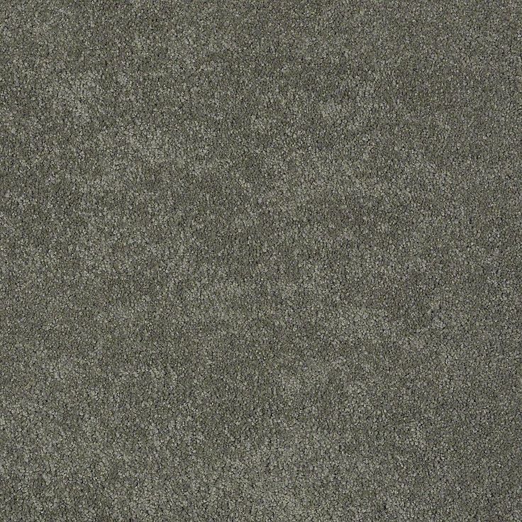 STAINMASTER PetProtect Baxter I Winston Textured Carpet (Indoor)