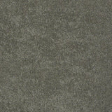STAINMASTER PetProtect Baxter I Winston Textured Carpet (Indoor)