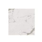 MSI Carrara 24 in. x 24 in. Polished Porcelain Floor and Wall Tile (28 cases / 448 sq. ft. / pallet)