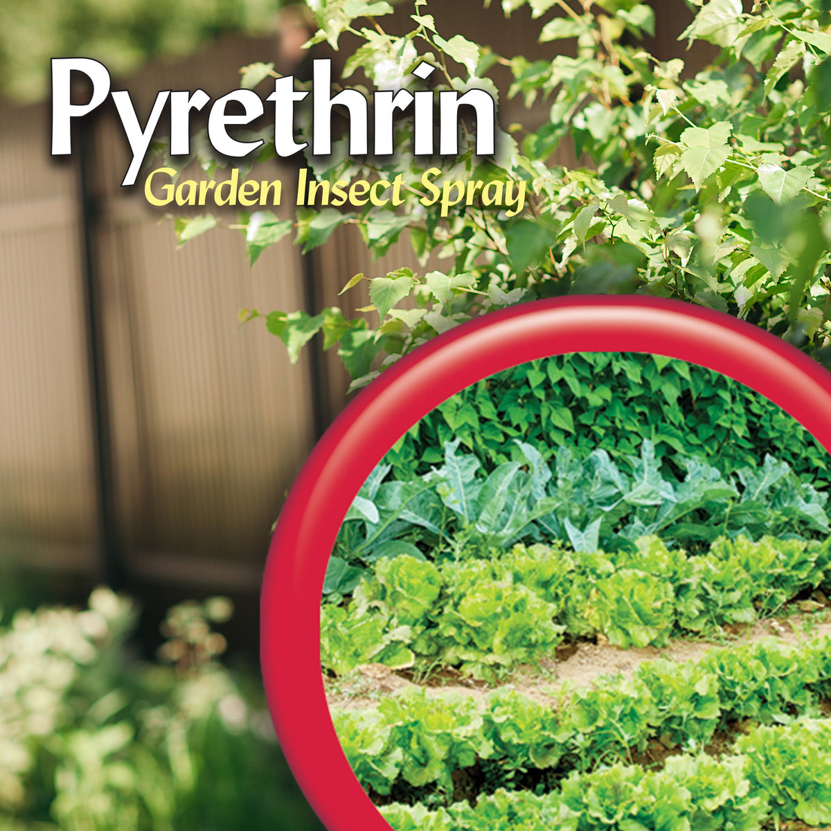 Bonide Pyrethrin Garden Insect Spray Concentrate, 16 oz