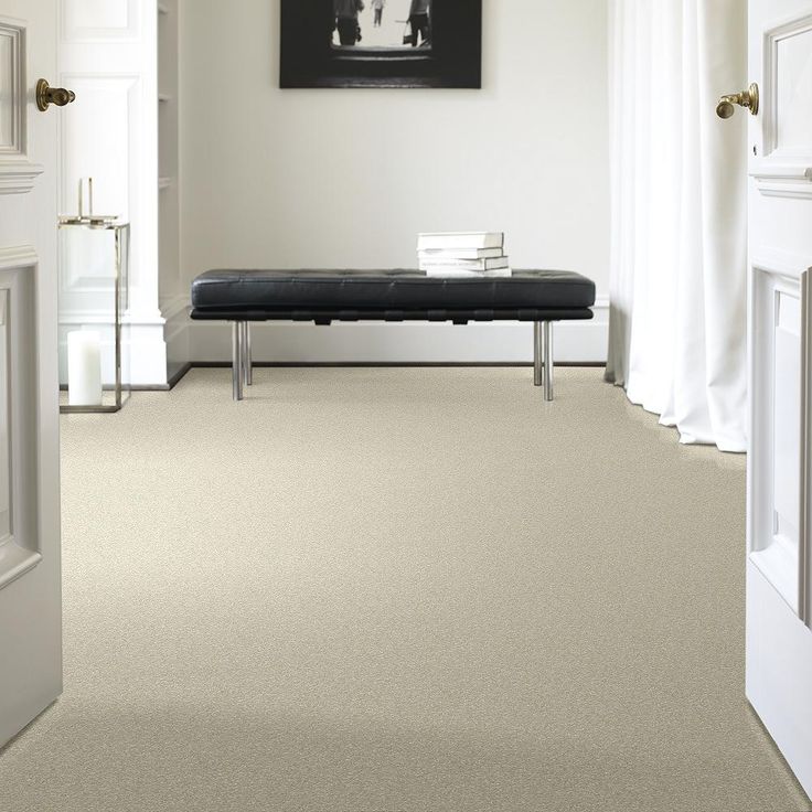 STAINMASTER PetProtect Baxter I Sadie Textured Carpet (Indoor)