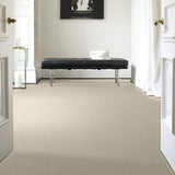 STAINMASTER PetProtect Baxter I Sadie Textured Carpet (Indoor)