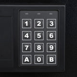 0.32 cu. ft. Premium Digital Lock Steel Safe