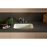 Bakersfield Undermount Cast Iron 31 in. 5-Hole Single Bowl Kitchen Sink in White - Super Arbor