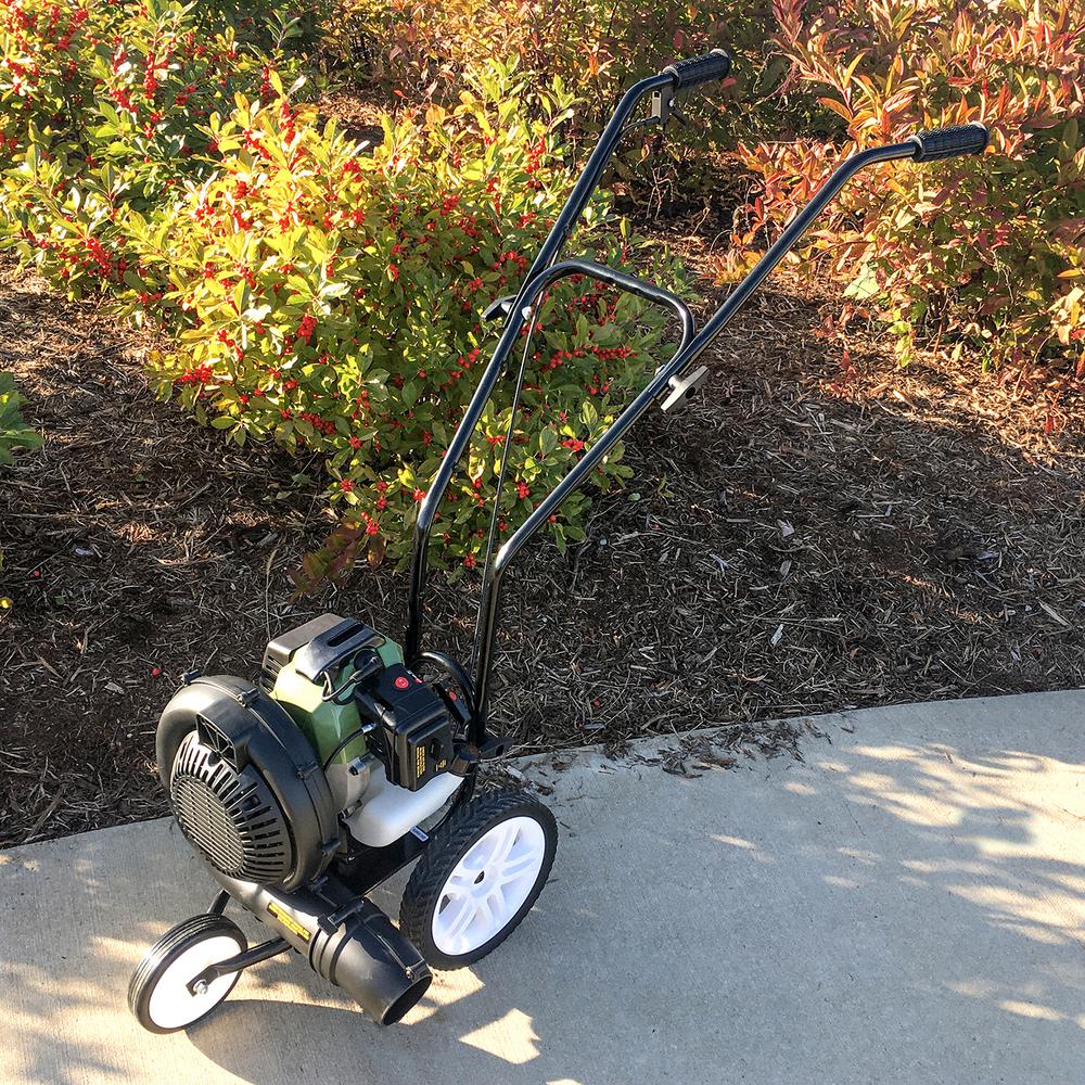 Sportsman 230 MPH 450 CFM 52 cc Gas Powered Walk-Behind Leaf Blower - Super Arbor