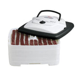Square 4-Tray White Food Dehydrator and Jerky Maker