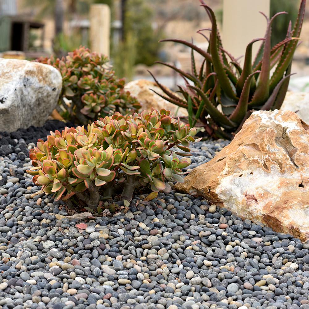 Southwest Boulder & Stone 20 lbs. of Mixed 2 in. to 3 in. Mexican Beach Pebbles - Super Arbor