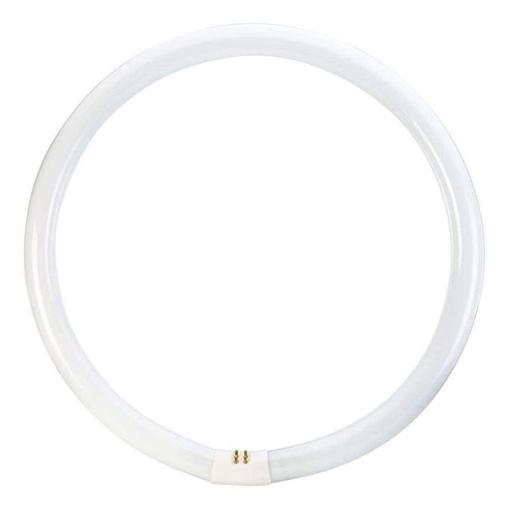 Philips 40-Watt 16 in. Circline T9 Fluorescent Tube Light Bulb Cool White (4100K) (1-Bulb)