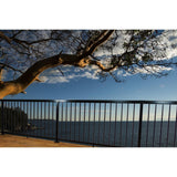Vista Aluminum 8 ft. Textured Black Aluminum Level Top and Bottom Rail Pack - Super Arbor