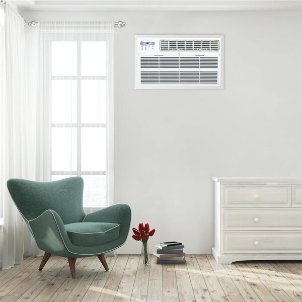 10,000 BTU Thru-the-Wall Air Conditioner, 115V (R32) image 2
