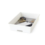 Style Selections 9.06-in x 6.13-in Plastic Multi-Use Insert Drawer Organizer
