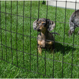 Everbilt 4 ft. x 50 ft. Galvanized Steel Black PVC Coated Welded Wire