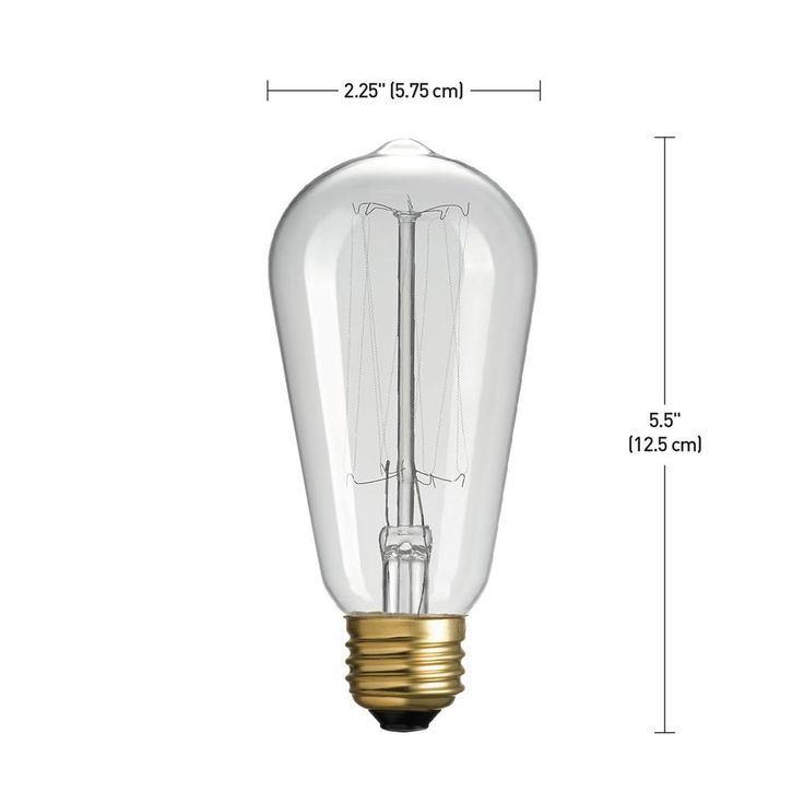 Globe Electric 60W Vintage Edison S60 Squirrel Cage Incandescent Filament Light Bulb (3-Pack)