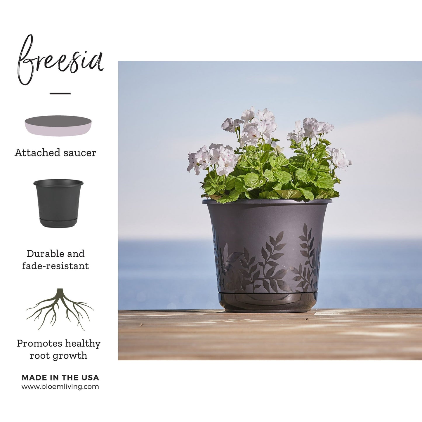 Bloem Freesia Planter w/Saucer 6" Black
