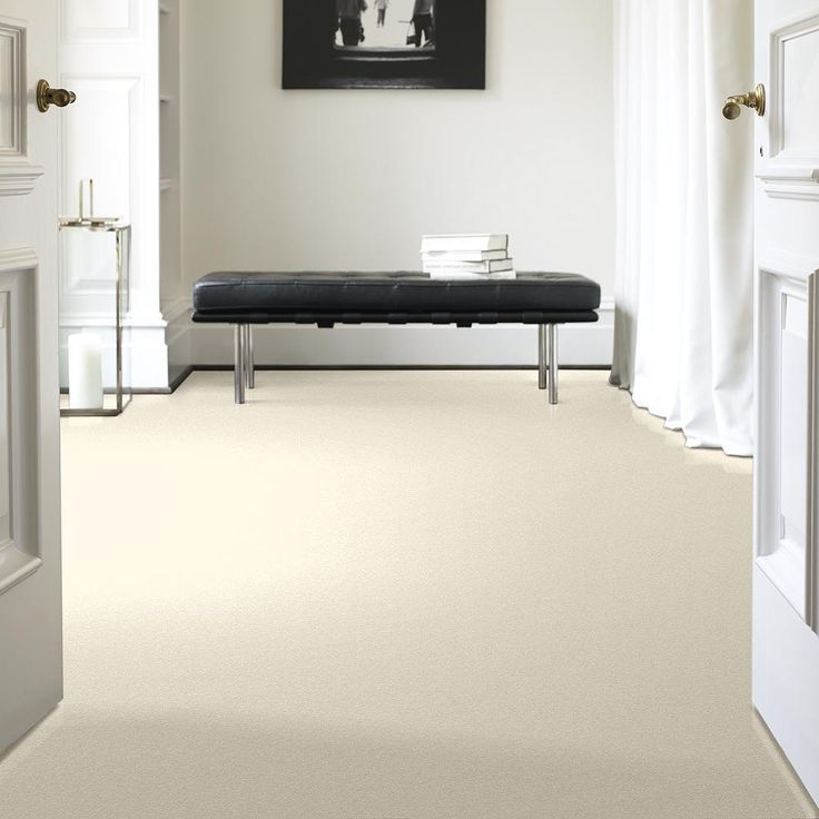 STAINMASTER PetProtect Baxter I Lucy Textured Carpet (Indoor)