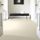 STAINMASTER PetProtect Baxter I Lucy Textured Carpet (Indoor)