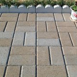 Holland 45 mm 7.87 in. L x 3.94 in. W x 1.77 in. H Rivertown Blend Concrete Paver ( 672-Piece/145 sq. ft./Pallet) - Super Arbor