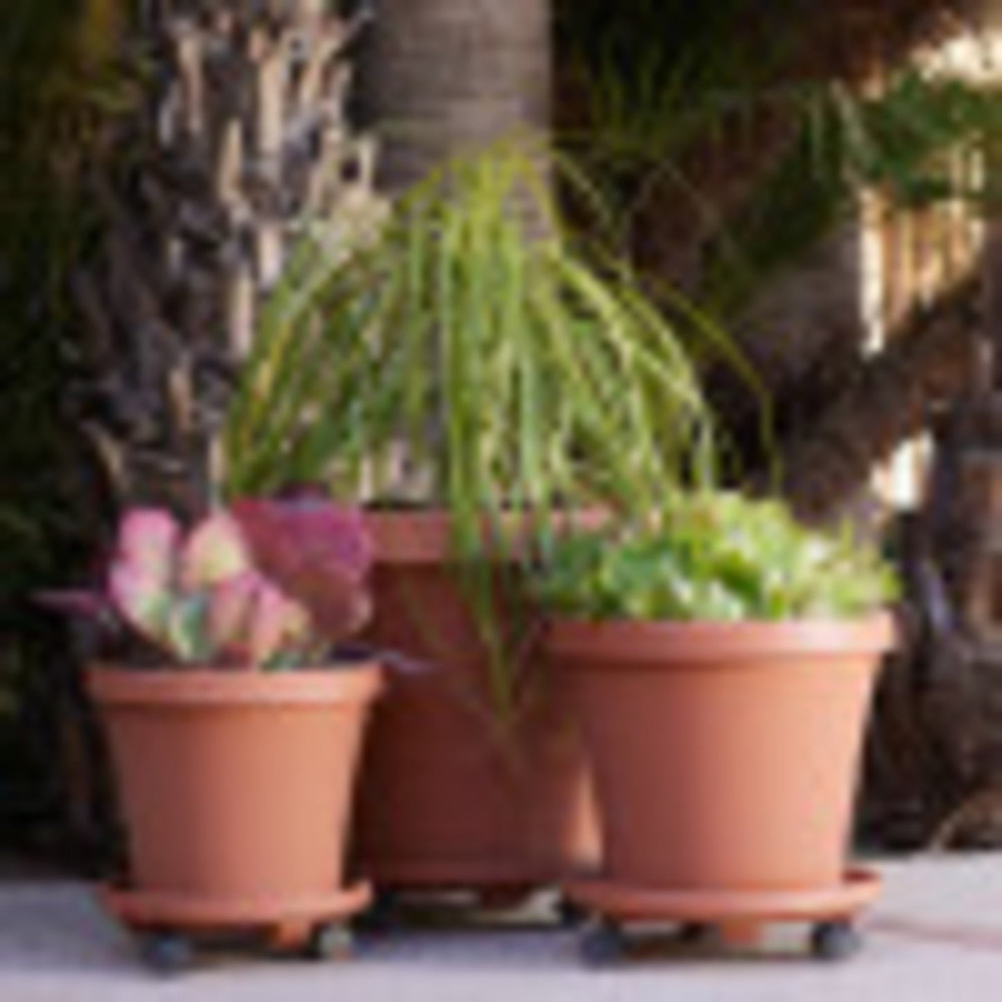 Bloem Terrapot 17.2 in. H x 20 in. Dia. Resin Traditional Planter Terracotta Clay
