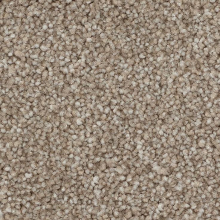 STAINMASTER Beatitude Elsewhere Textured Carpet Sample (Interior)