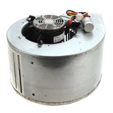 Nordyne 901282 blower motor - detail view (Product Type: Blower Motor)
