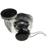 Nordyne 904796 inducer motor - detail view (Product Type: Inducer)