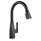 Xander Single-Handle Pull-Down Sprayer Kitchen Faucet in Chrome - Super Arbor