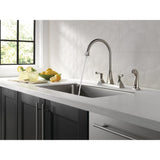 Everly 2-Handle Standard Kitchen Faucet with Spray in Stainless - Super Arbor