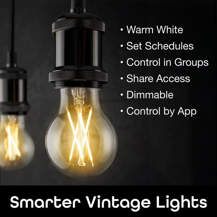 Geeni 60-Watt Equivalent A19 Dimmable Smart Edison Wi-Fi LED Light Bulb White (2-Pack)