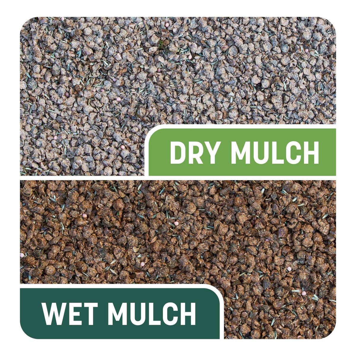 90fdf9f1-208d-4b1a-8cd4-957cb1d4d83a_quality=60&_mzcb=_1649148331752_8436469