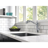 Delta Cassidy Arctic Stainless 1-Handle Deck-Mount Pull-Out Handle Kitchen Faucet
