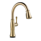 Cassidy Touch Single-Handle Pull-Down Sprayer Kitchen Faucet in Lumicoat Champagne Bronze - Super Arbor