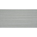 Anatolia Tile Ikon Mica 12-in x 24-in Porcelain Floor Tile (Common: 12-in x 24-in; Actual: 11.81-in x 23.62-in)