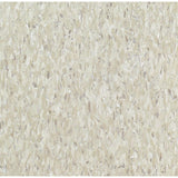 Armstrong Imperial Texture VCT 12 in. x 12 in. Classic White Standard Excelon Commercial Vinyl Tile (45 sq. ft./ case) - Super Arbor